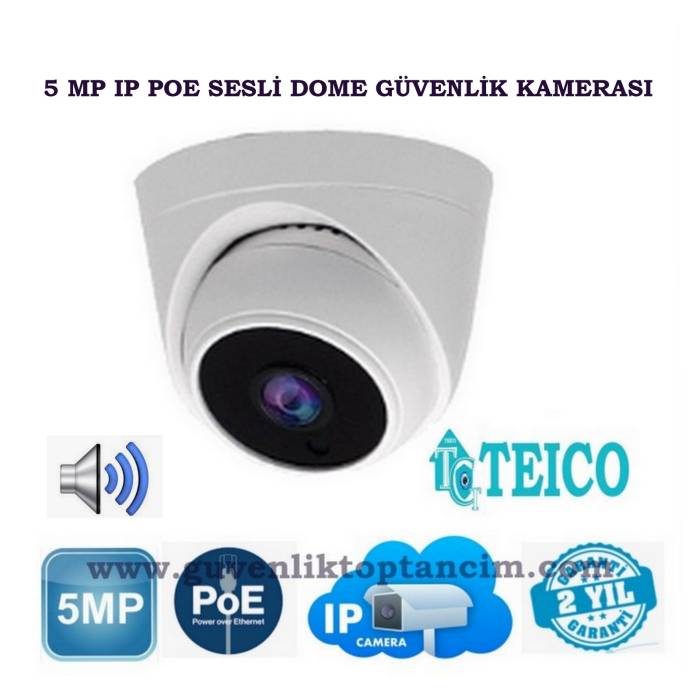 5 MP IP PoE Sesli Dome Güvenlik Kamerası Teico-3256