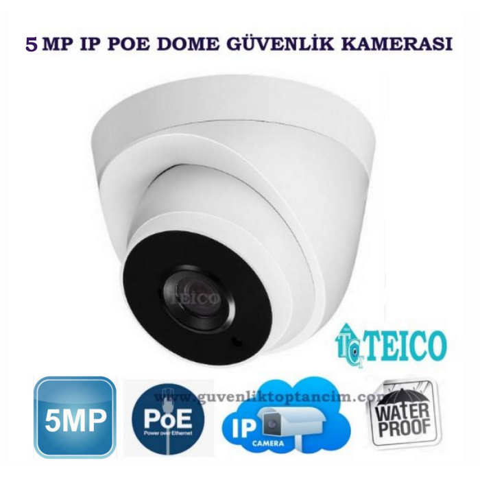 5 MP IP PoE Büyük Kasa Dome Güvenlik Kamerası Teico-3560